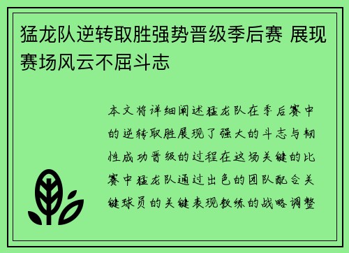猛龙队逆转取胜强势晋级季后赛 展现赛场风云不屈斗志