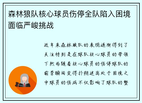 森林狼队核心球员伤停全队陷入困境面临严峻挑战